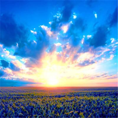 188BET金宝搏截图