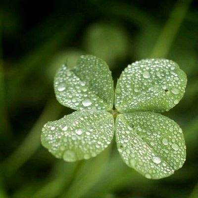 2023管家婆资料正版大全澳门手机app下载